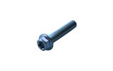 Screw hex head Torx M6x30mm