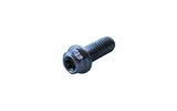 Screw hex head Torx M8x20mm