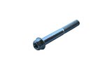 Screw hex head Torx M8x60mm