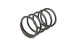 Torque Spring 2Fast 100cc black Minarelli / Piaggio
