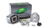 Cylinder Kit Top Performances Black Trophy 50cc Derbi Euro 2