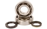 Crankshaft Bearings and Oil Seals Hot Rods Suzuki RM-Z 450