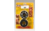 Crankshaft Bearings and Oil Seals Hot Rods CR 500 1987-2001