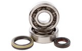 Crankshaft Bearings and Oil Seals Hot Rods RM 125 1992-1998