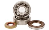 Crankshaft Bearings and Oil Seals Hot Rods SX / TC 65