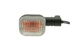 Indicator rear left SR50
