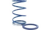 Torque Spring + Evo Slider Polini 4.4mm Piaggio