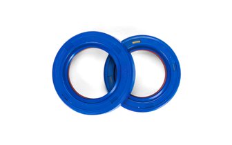 Kampiakselin öljytiivisteet Polini Evolution Viton® Derbi