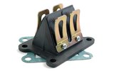 Reed Valve Polini Evolution carbon fiber Derbi