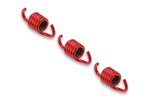 Clutch Springs Malossi Racing red d=2.2