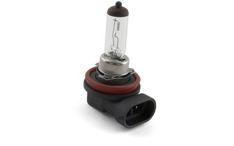 Halogeenipolttimo STR8 H8 12V / 35W (PGJ19-1)