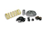 CVT Malossi 2000 Multivar Kymco Xciting / Grand Dink 250cc