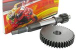 Primary Gears Malossi 13/43 Peugeot Speedfight 3