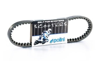 Kiilahihna Polini Original Piaggio TPH vuoden 2011 jälkeen / Scarabeo / Liberty