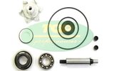 Water Pump Repair Kit Top Performances Honda PCX 125 - 150cc