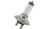 Halogen Bulb H7 - PX26D 12V - 55W