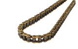 Chain reinforced Racing 134 links 420 gold