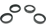 Oil + Dust Seals inverted fork 41 mm
