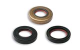 Oil Seal Kit (x3) Malossi FKM / PTFE Minarelli AM6