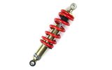 Shock Absorber gas-charged 295mm Beta RR 50cc