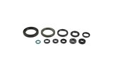 Oil Seal Set engine Honda CRF 450 2002-2008