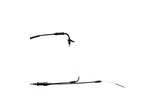 Throttle Cable original Rieju MRT / MRX / Tango / RS3