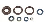 Oil Seal Set engine Husqvarna WR / CR 250 1999-2013