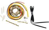 Ignition Stator Moose Racing RM 125 / 250 1994-1997