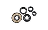 Oil Seal Kit engine Yamaha PW50
