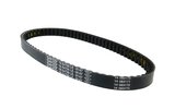 V-Belt Dayco Typ 732mm Runner FXR 180