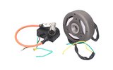 Ignition electronic OEM quality Puch Maxi (12 V)