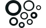 Oil Seal Set Moose Racing CR 250 2002-2007