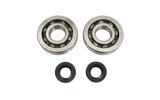 Crankshaft Bearing Set SKF MBK 51