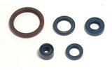 Oil Seal Kit engine Husqvarna TC / TE