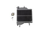 Radiator - original Yamaha TZR / X-Power