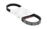 Drive Belt Piaggio short before '98