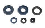 Oil Seal Kit engine Kawasaki KX 60