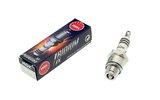 Spark Plug NGK BR10ECMIX (3006)