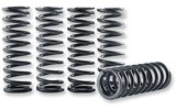 Clutch Spring Kit Hinson KXF 450