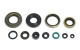 Oil Seal Kit engine Kawasaki KX 250