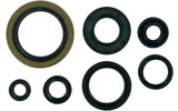 Oil Seal Set Moose Racing RM 250 1990-1995