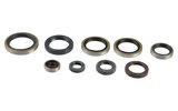 Oil Seal Kit engine EXC 250 / TE 300