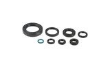 Oil Seal Kit engine Honda CR 250