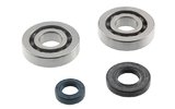 Crankshaft Bearings and Oil Seals PGO Big Max