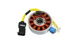 Ignition Rotor + Stator Vespa GTS / GTV 125cc
