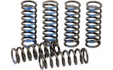 Clutch Springs Pro Circuit YZF 250 after 2019