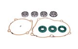 Gasket + Bearing Set Puch Maxi S / N / E50 (old)