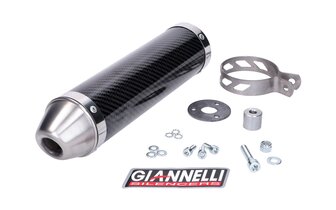 Äänenvaimennin Giannelli Street Carbon Aprilia RS 125 2T 1999 - 2007