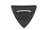 Front Fairing Insert unpainted Peugeot Speedfight 2