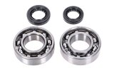 Crankshaft Bearings and Oil Seals Yamaha Aerox 4-stroke
